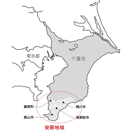 千葉県と安房地域の地図