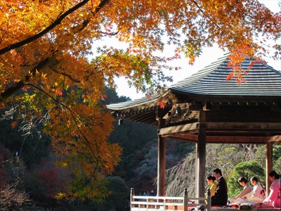 第２６回成田山公園紅葉まつりの写真