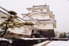 大多喜城の写真