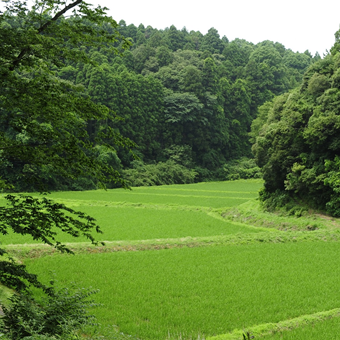 里山の風景の画像