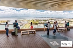 飯岡刑部岬展望台の写真