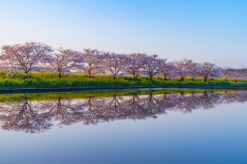 多古町賞に選ばれた写真。栗山川沿いの写真。