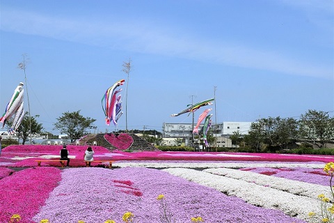 東庄町賞に選ばれた写真。東庄ふれあいセンターの写真。