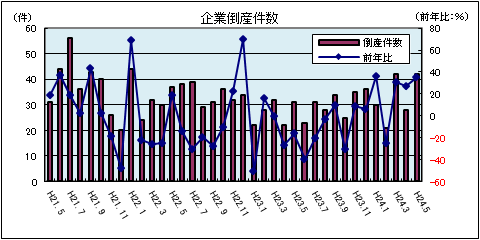 企業倒産件数（平成24年5月：負債総額1千万円以上）