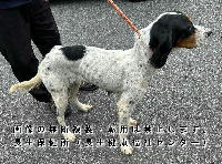 2025年10月7日に収容した犬の写真