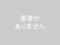 画像はありません。