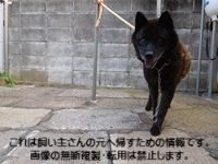 2025年8月25日市原市古都辺