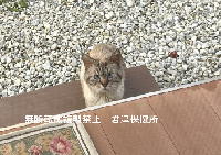 no-photo