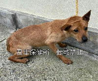 no-photo