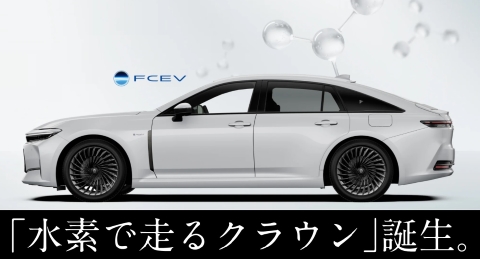乗れる車の１例