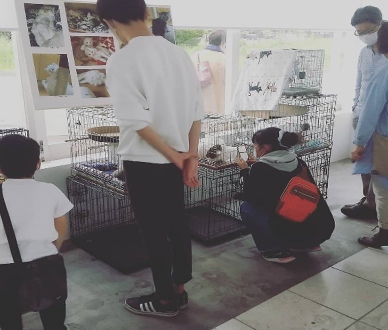 連携事例３０保護犬猫の譲渡会in茂原珈琲