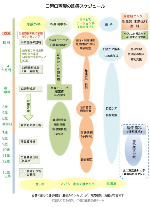 診療スケジュール 診療スケジュール