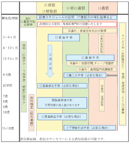 裂型別スケジュール