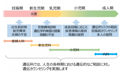 遺伝診療