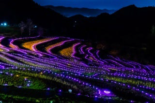 Terraced Rice Field Illuminations