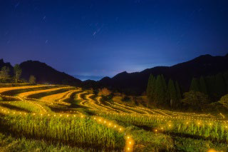 Terraced Rice Field Illuminations