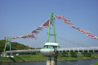 Yachiyo Hometown Family Festival「Koinobori Big Swim」