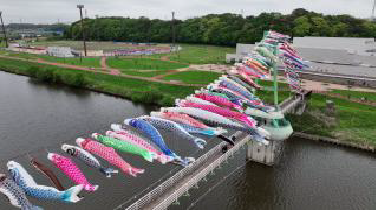 Yachiyo Hometown Family Festival「Koinobori Big Swim」