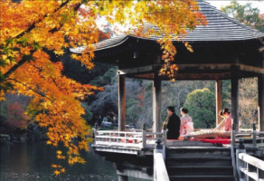 A view of the tea ceremony with the fall colors backdrop