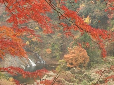 otaki awamata waterfall
