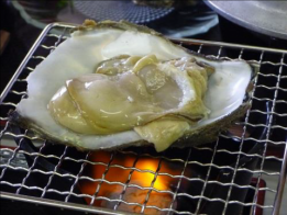 A view of an oyster meal