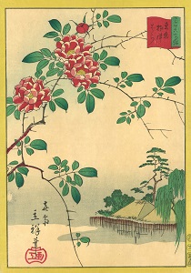 Ukiyo-e prints of roses
