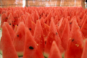 A view of some juicy watermelons
