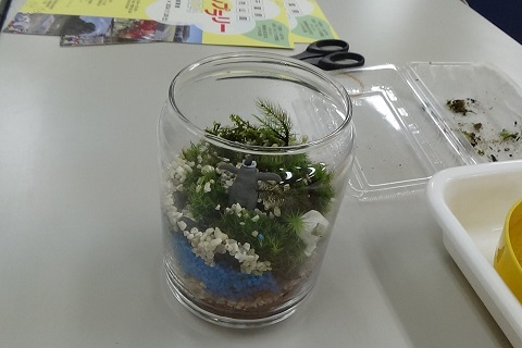 完成した苔テラリウムの写真