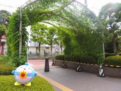 船橋市緑のカーテン