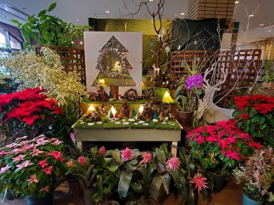 クリスマス展示