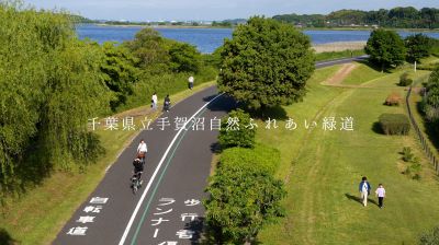 手賀緑チャンネル