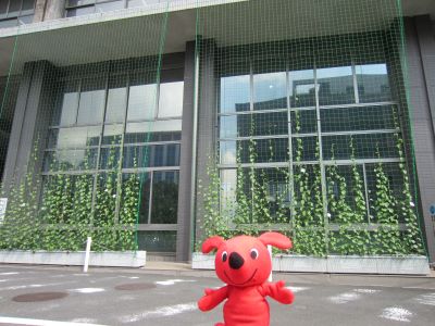 チーバくんとアサガオ