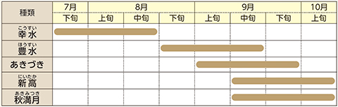 梨の種類ごとの時期表