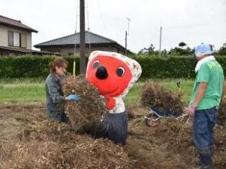 ボッチを積む作業