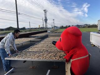 簾を運ぶチーバくん