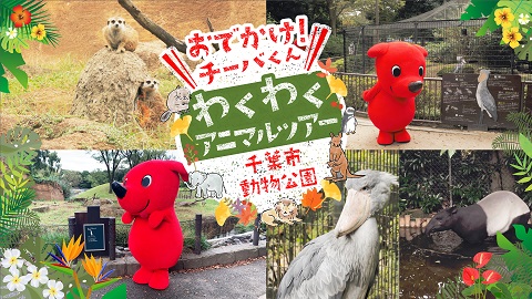 【おでかけ！チーバくん♪】わくわくアニマルツアー ～千葉市動物公園～