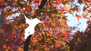 秋(3)亀山湖｜千葉県イメージアップ動画（情景映像）