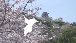 春(2)館山城｜千葉県イメージアップ動画（情景映像）