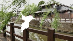 夏(3)佐原の町並み｜千葉県イメージアップ動画（情景映像）