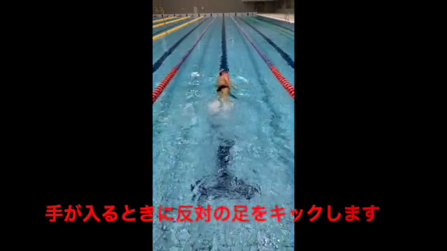 水泳動画4のサムネイル画像