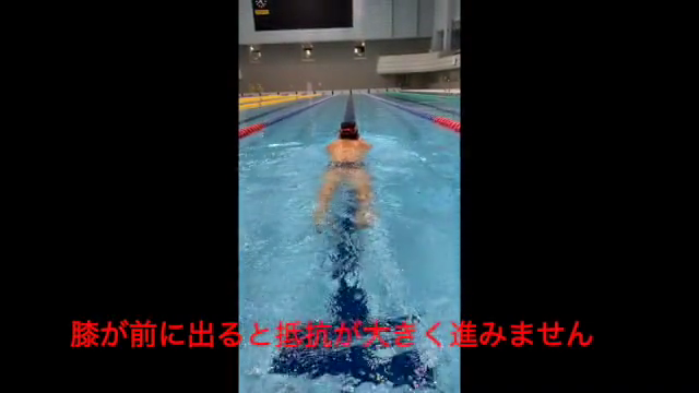 水泳動画7のサムネイル画像