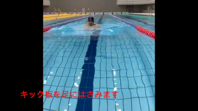 水泳動画8のサムネイル画像