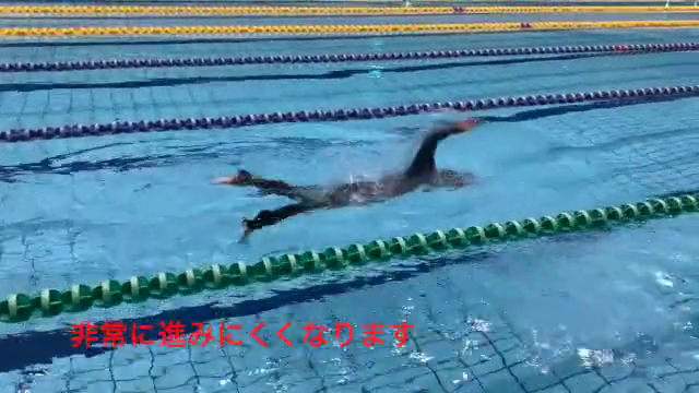 水泳動画16のサムネイル画像