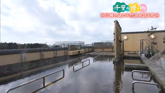 飛行機を望む天然温泉露天風呂 （芝山町）