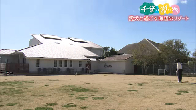 愛犬と過ごす海辺のリゾート（山武市）