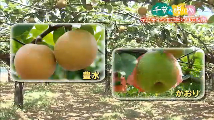 元パティシエこだわりの梨園（横芝光町）