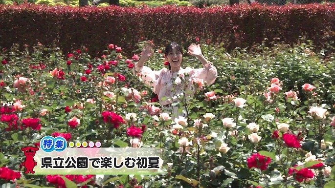令和7年5月17日放送分(特集)「県立公園で楽しむ初夏」／ウィークリー千葉県