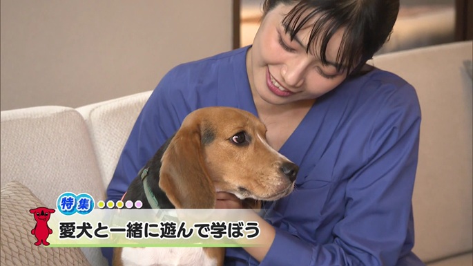 令和7年10月11日放送分(特集)「愛犬と一緒に遊んで学ぼう」／ウィークリー千葉県