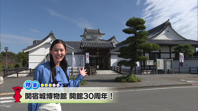 令和7年10月18日放送分(特集)「関宿城博物館開館30周年！」／ウィークリー千葉県
