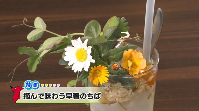 令和8年2月21日放送分(特別番組)「摘んで味わう早春のちば」/ウィークリー千葉県 令和8年2月21日放送分(特別番組)「摘んで味わう早春のちば」/ウィークリー千葉県